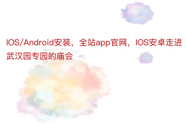 IOS/Android安装，全站app官网，IOS安卓走进武汉园专园的庙会